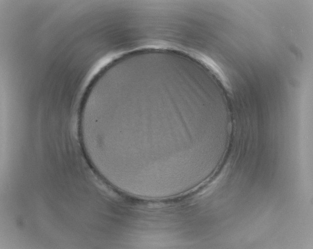 X0000115331326200911231404