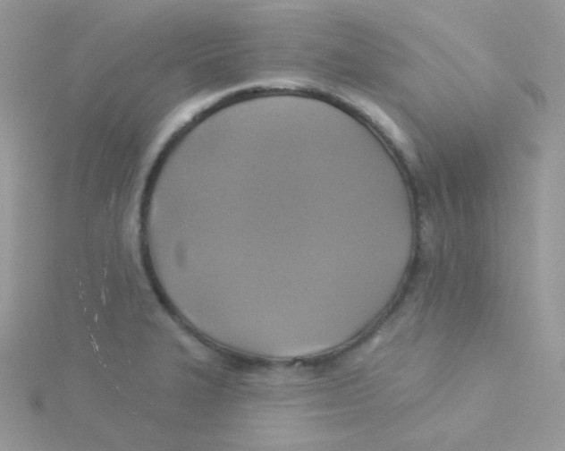 X0000115331327200911231404