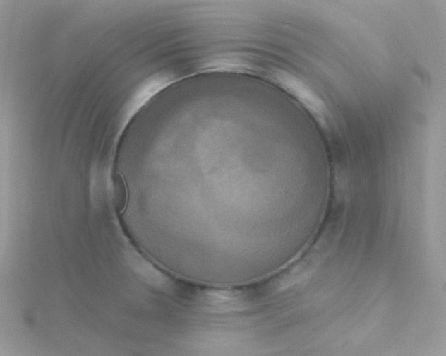 X0000115331330200911231404