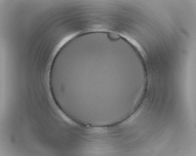 X0000115331333200911231404