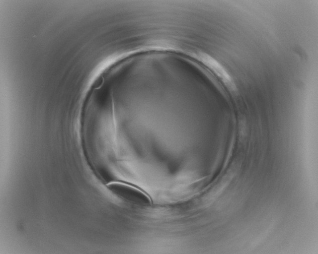 X0000115331334200911231404