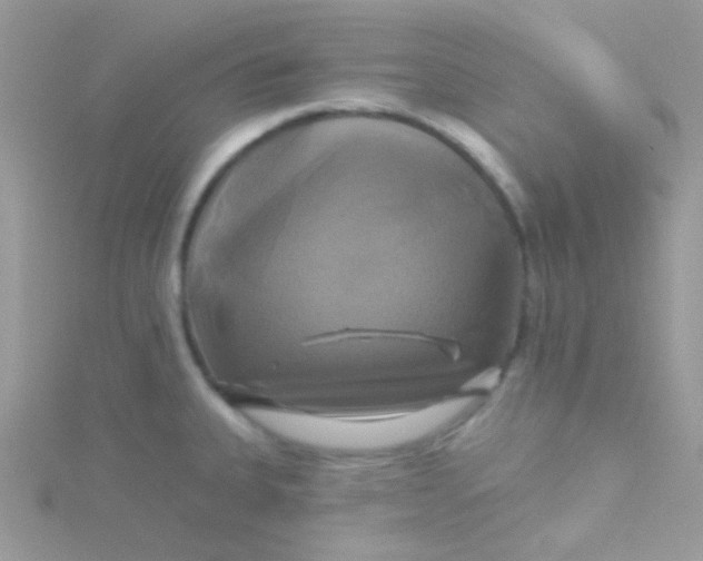 X0000115331335200911231404