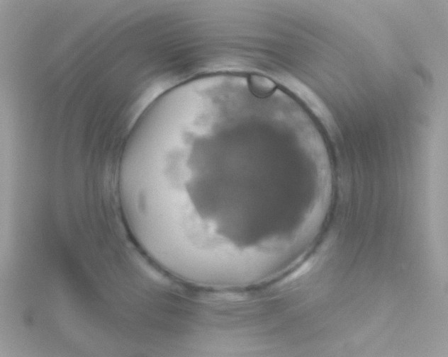 X0000115331337200911231404