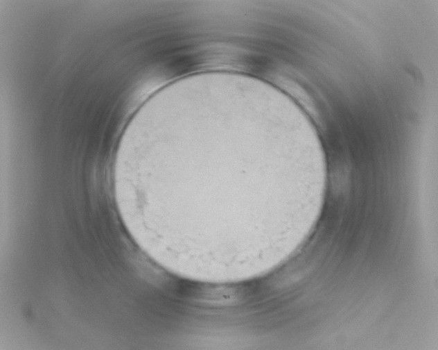 X0000115331338200911231404