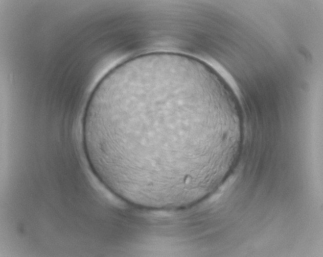 X0000115331341200911231404