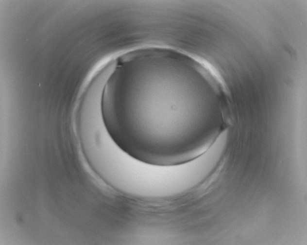 X0000115331342200911231404