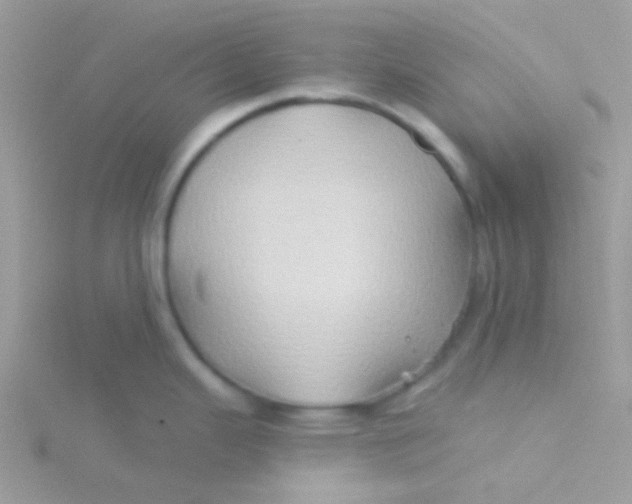 X0000115331343200911231404