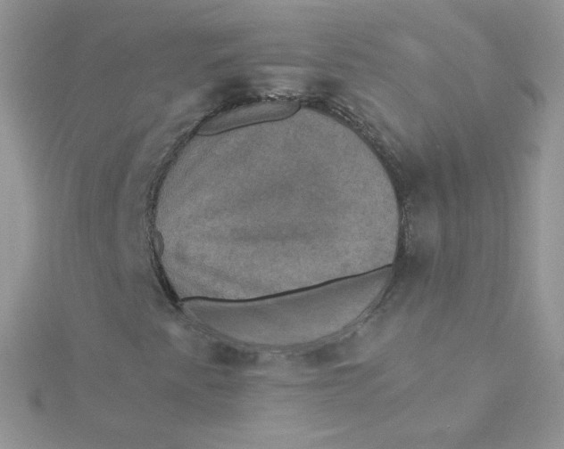 X0000115331345200911231403