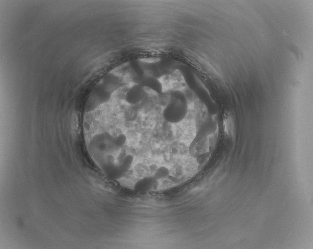 X0000115331347200911231403