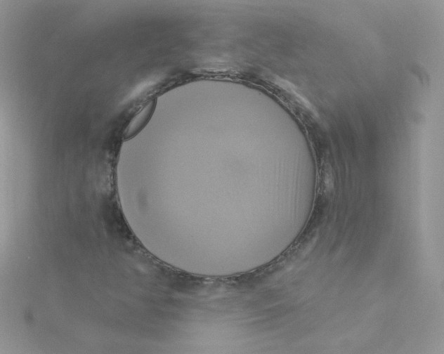 X0000115331350200911231403