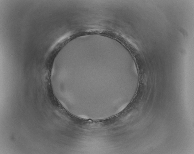 X0000115331351200911231403