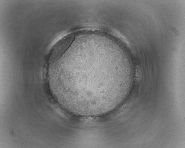 X0000115331352200911231403