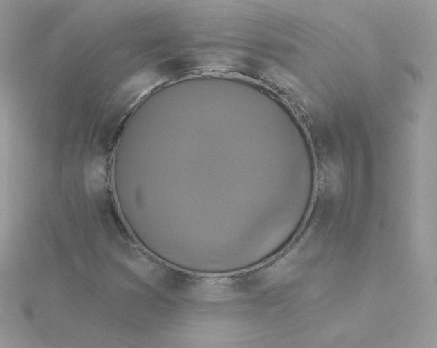 X0000115331353200911231403