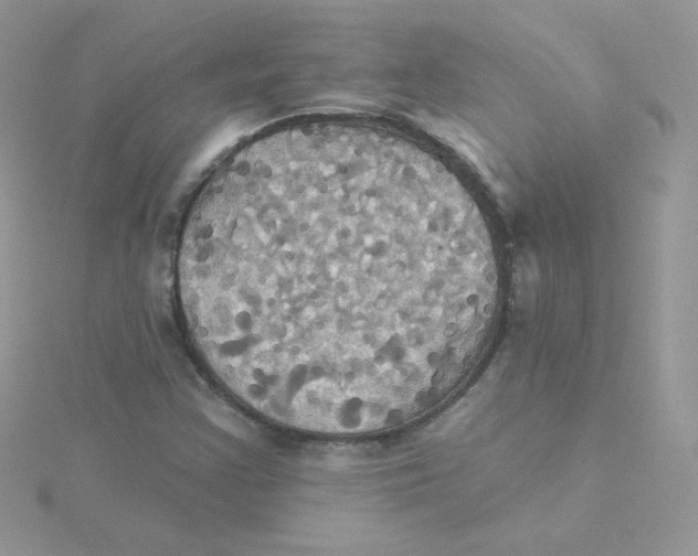 X0000115331355200911231403