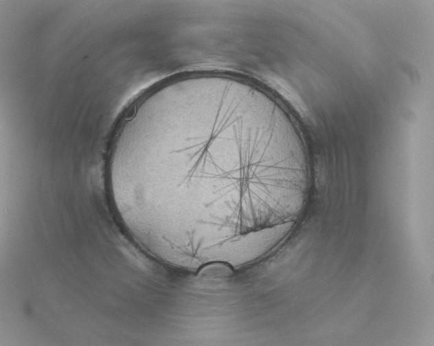 X0000115331356200911231403