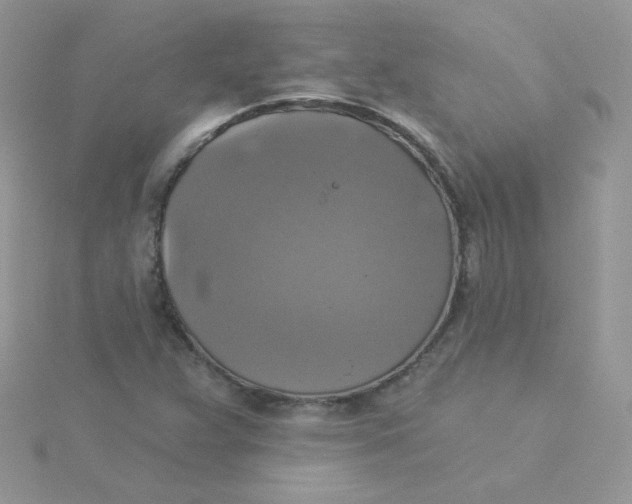 X0000115331359200911231403