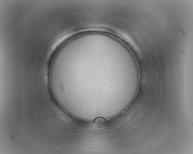 X0000115331360200911231403