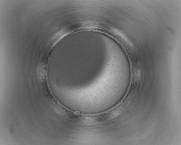 X0000115331361200911231403