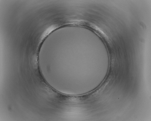 X0000115331362200911231403