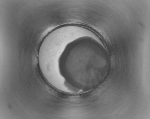 X0000115331363200911231403