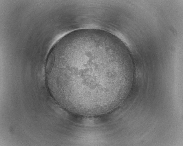 X0000115331364200911231403