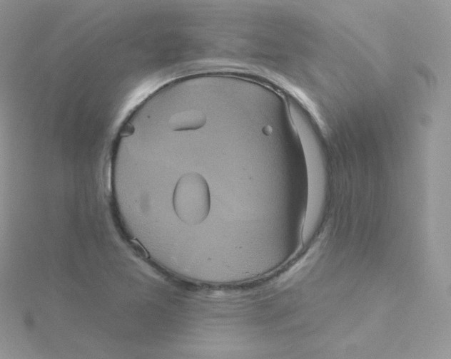 X0000115331365200911231403