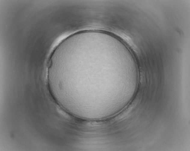 X0000115331366200911231403