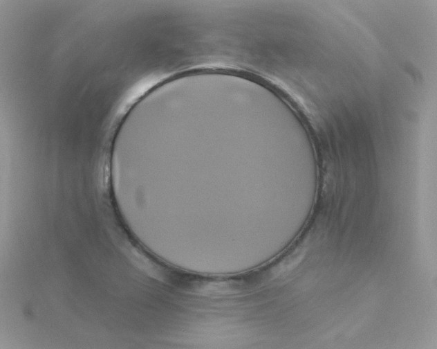 X0000115331367200911231403