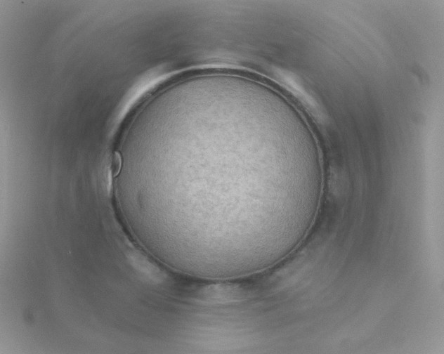 X0000115331368200911231403