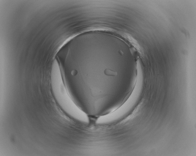 X0000115331369200911231403