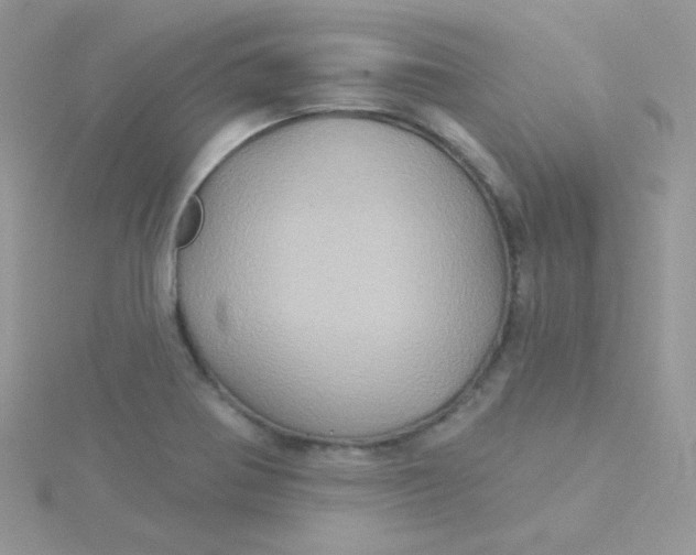 X0000115331370200911231403