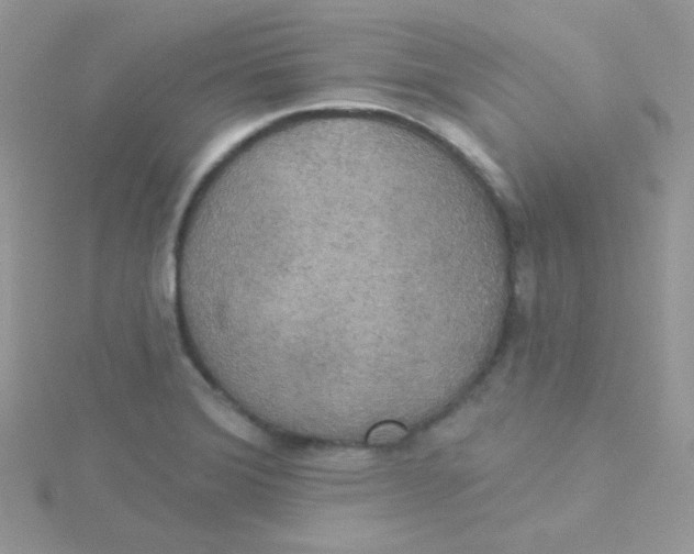 X0000115331372200911231403