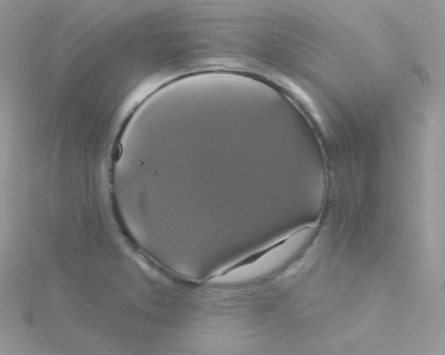 X0000115331373200911231403