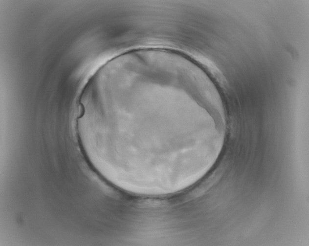 X0000115331374200911231403