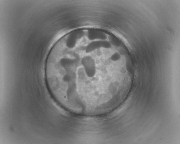 X0000115331375200911231403