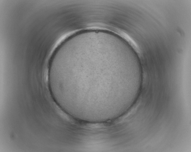 X0000115331376200911231403