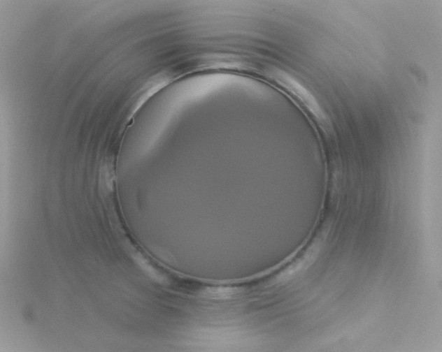 X0000115331377200911231403