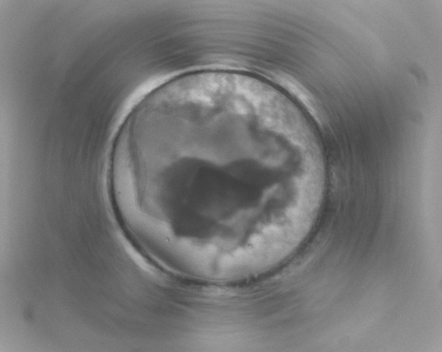 X0000115331379200911231403