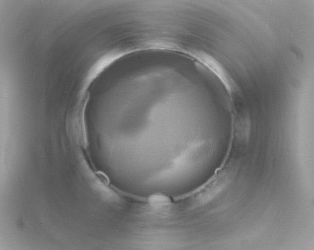 X0000115331381200911231403