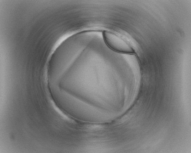 X0000115331382200911231403