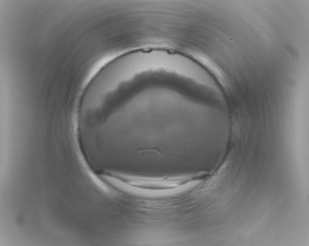 X0000115331383200911231403