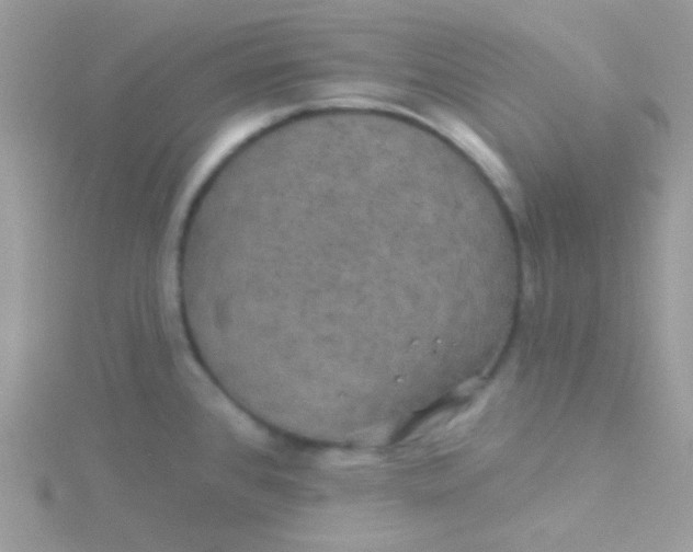 X0000115331384200911231403