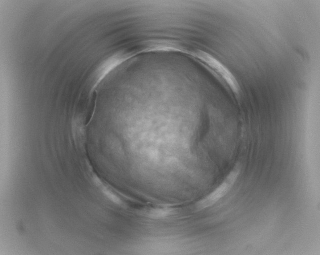 X0000115331385200911231403