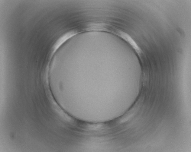 X0000115331386200911231403