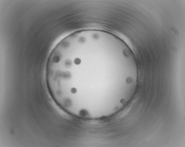 X0000115331387200911231403