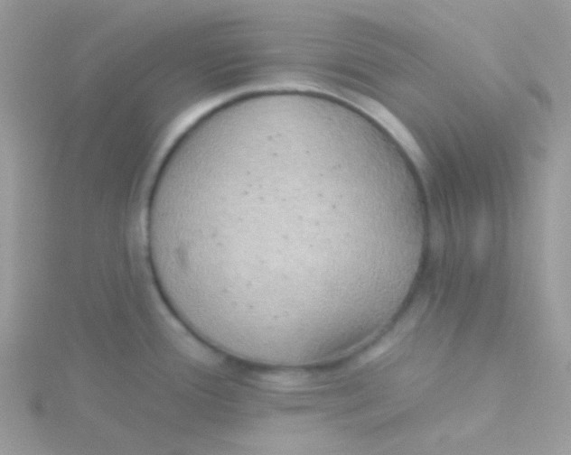 X0000115331388200911231403