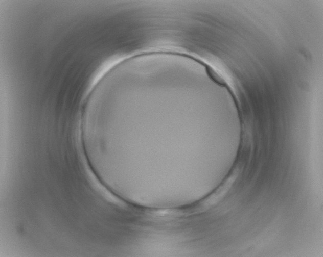 X0000115331390200911231403