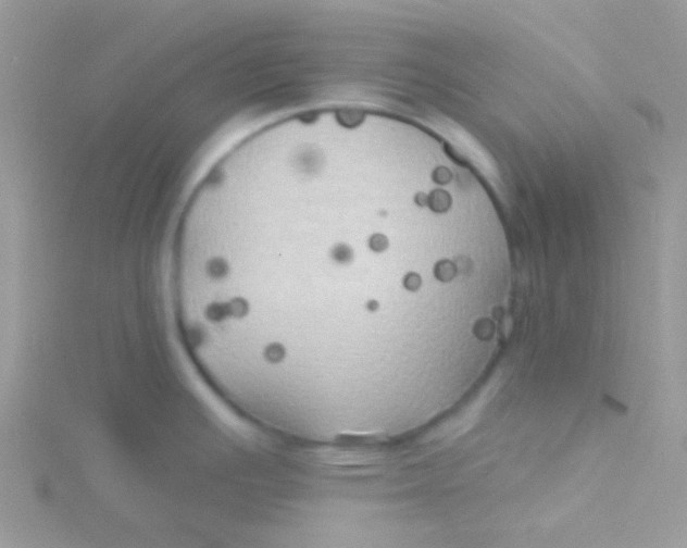 X0000115331391200911231402