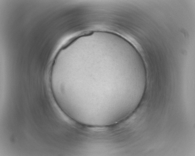 X0000115331392200911231402