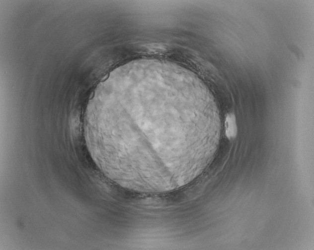 X0000115331395200911231402